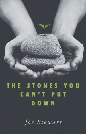 The Stones You Can't Put Down de Joe Stewart