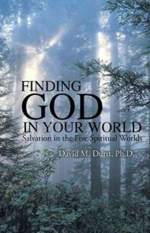 Finding God in Your World de Durst, Ph. D. David M.