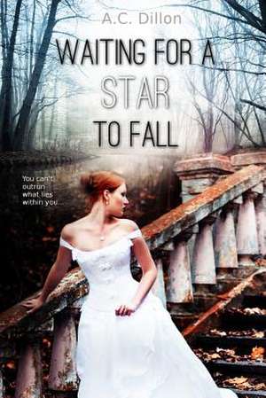 Waiting for a Star to Fall de A. C. Dillon