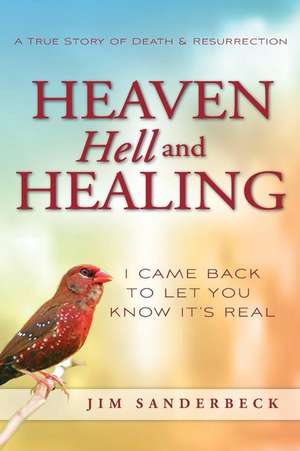 Heaven Hell and Healing de Jim Sanderbeck