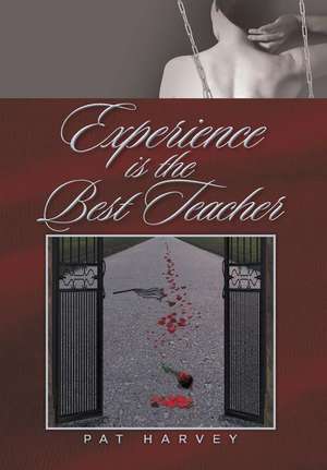 Experience Is the Best Teacher: The Sequel to My Dreams de Pat Harvey