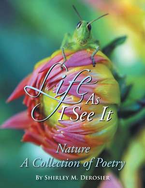 Life as I See It de Shirley M Derosier