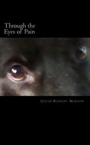 Through the Eyes of Pain de Jestin Ronody Marson