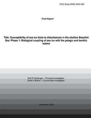 Final Report Title de Brodil a. Bluhm