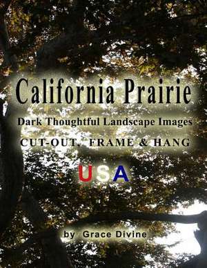 California Prairie Dark Thoughtful Landscape Images Cut-Out, Frame & Hang USA de Grace Divine