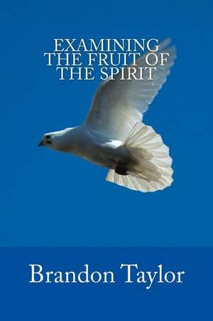 Examining the Fruit of the Spirit de Brandon Taylor