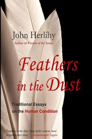 Feathers in the Dust de John Herlihy