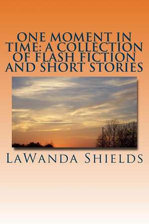 One Moment in Time de Lawanda Shields