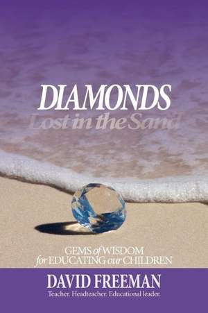 Diamonds Lost in the Sand de David Freeman