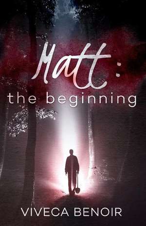 Matt - The Beginning de Viveca Benoir