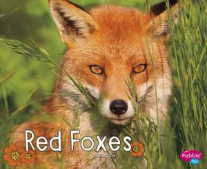 Red Foxes de G. G. Lake