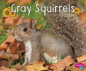 Gray Squirrels de G. G. Lake