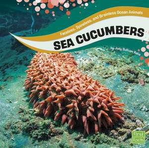 Sea Cucumbers de Jody Sullivan Rake