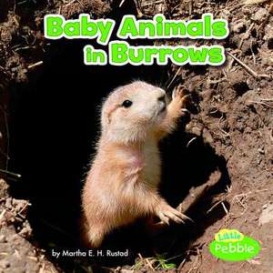 Baby Animals in Burrows de Martha E. Rustad