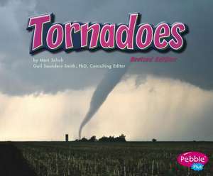 Tornadoes de Mari C. Schuh