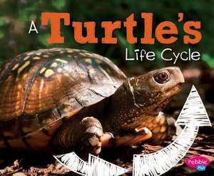 A Turtle's Life Cycle de Mary R. Dunn