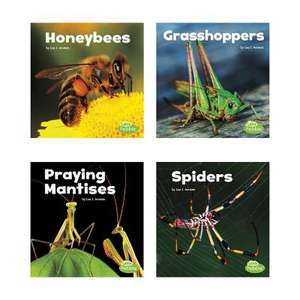 Little Critters de Lisa J. Amstutz