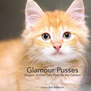 Glamour Pusses de Laura Ann Methvin