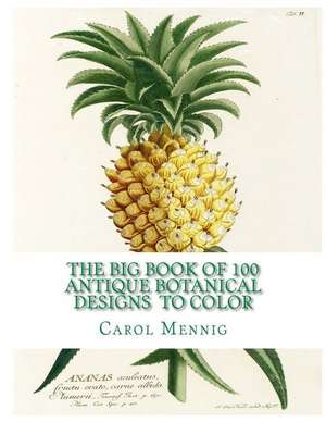 The Big Book of 100 Botanical Designs to Color de Carol Elizabeth Mennig