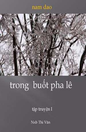 Trong Buot Pha Le de Nam Dao