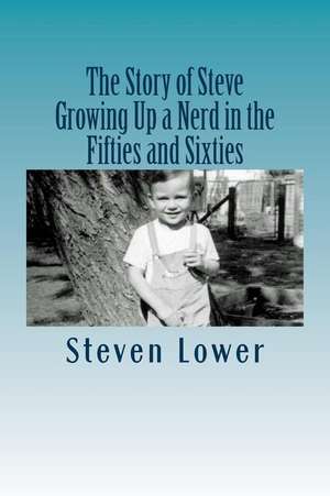 The Story of Steve de Steven Lower