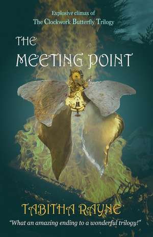 The Meeting Point de Tabitha Rayne