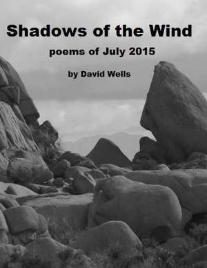 Shadows of the Wind de David S. Wells