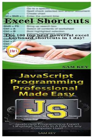 Excel Shortcuts & JavaScript Professional Programming Made Easy de Sam Key