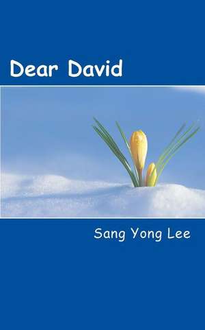 Dear David: All the Dirty Little Secrets You Never Knew de Sang Yong Lee