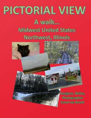 Pictorial View a Walk Midwest United States Northwest Illinois de Carol Lee Brunk