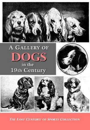 A Gallery of Dogs in the 19th Century de Lost Century of Sports Collection