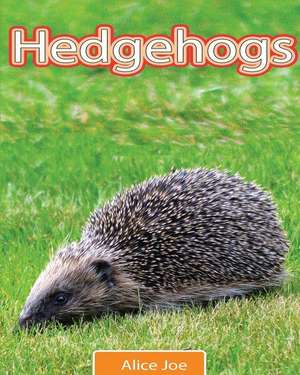 Hedgehogs de Alice Joe