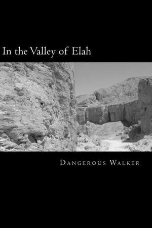 In the Valley of Elah de Dangerous Walker