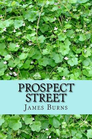 Prospect Street de James Burns