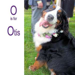 O Is for Otis de Dana George Neuman