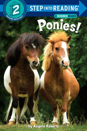 Ponies! de Angela Roberts