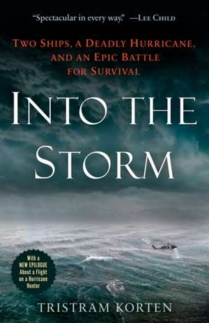 Into the Storm de Tristram Korten