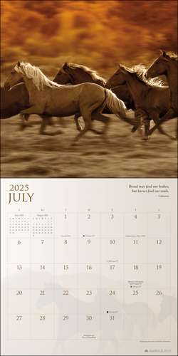 Spirit Horses 2025 Wall Calendar by Tony Stromberg de Tony Stromberg