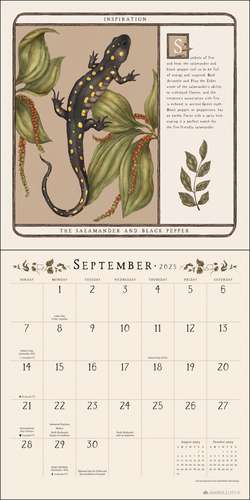 Woodland Wardens 2025 Wall Calendar: The Magical Wisdom of Plants and Animals de Jessica Roux