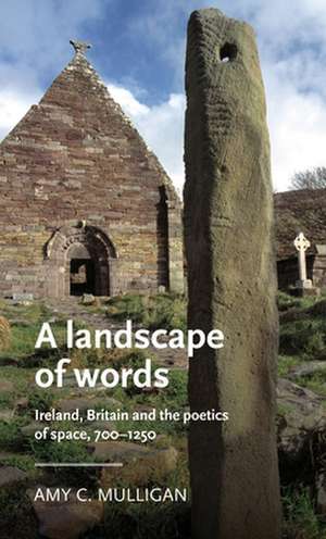 Landscape of Words de Amy C. (Assistant Professor) Mulligan