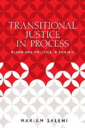 Transitional justice in process de Mariam Salehi