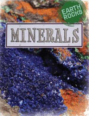 Earth Rocks: Minerals de Richard Spilsbury