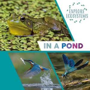 Explore Ecosystems: In a Pond de Sarah Ridley