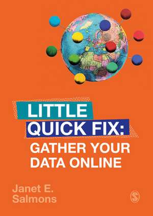 Gather Your Data Online: Little Quick Fix de Janet Salmons