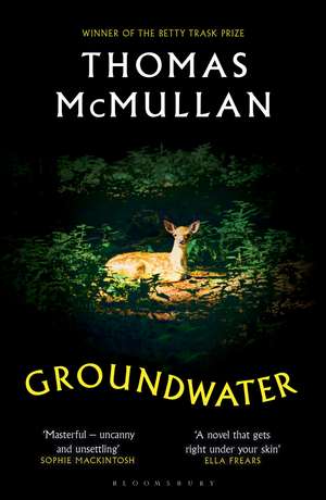 Groundwater: ‘Complex, chilling, masterful' Financial Times de Thomas McMullan
