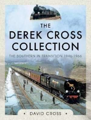 The Derek Cross Collection: The Southern in Transition 1946-1966 de David Cross