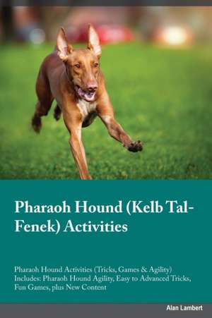 Pharaoh Hound Kelb Tal-Fenek Activities Pharaoh Hound Activities (Tricks, Games & Agility) Includes de Paul Rees