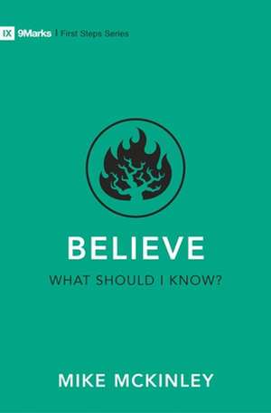 Believe - What Should I Know? de Mike Mckinley