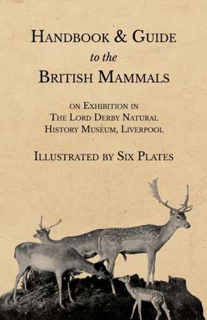 Handbook and Guide to the British Mammals on Exhibition in The Lord Derby Natural History Museum, Liverpool - Illustrated by Six Plates de Anon.