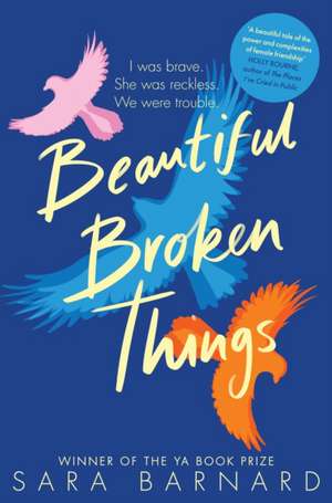 Beautiful Broken Things de Sara Barnard